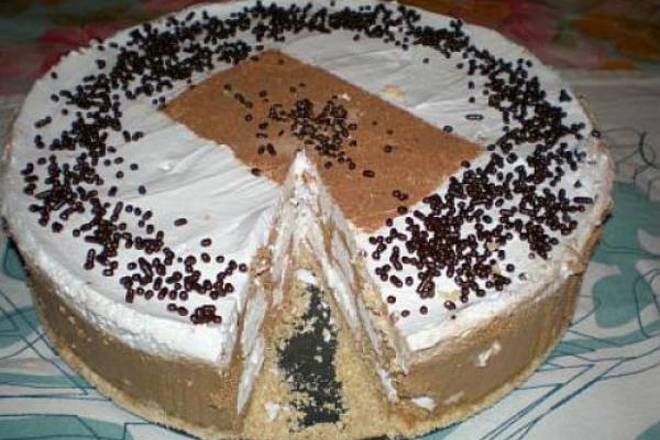 TORTA S PUSLICAMA: Nema pečenja, gotova za najviše 20 minuta!